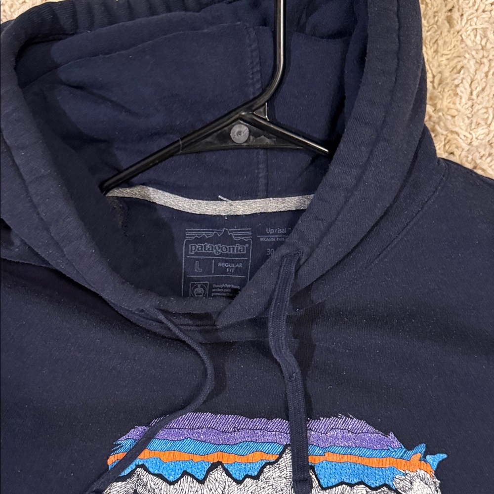 Patagonia Dark Blue Graphic Hoodie for Men